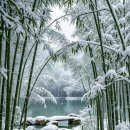 해피데이 이미지