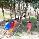 유아숲체험원(2) 이미지