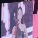 본 (BORN)95 | 블랙핑크 DEADLINE 월드투어 Day2 후기 - E11구역 시야, 신곡 Jump, MD 등