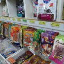 대청애견수족관 이미지