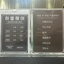 하엘헤어 동탄점 네이버블로그