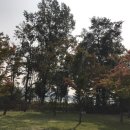 신천Ⅰ, 신천Ⅱ 이미지