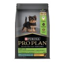 퍼피앤허니 이미지