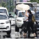차 안에 있다면 지금 빼세요…39도 폭염에 위험한 물건들 이미지