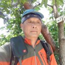 암소고개로 이미지