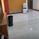 똥꼬네 | 똥꼬 튀어나옴 걱정되서 병원 다녀온 후기(feat. 홈케어)