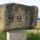 대마초등학교 이미지