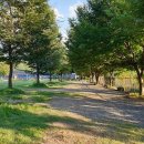 영우네 농어촌 관광농원 이미지