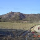 강산화원 - 평택시 지제로 65-22 | 강산화원