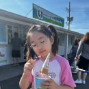 샤론목장 이미지