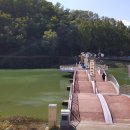 공지천 주차장 이미지