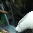 남동3 네이버블로그