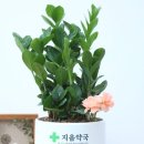 해리약국 이미지