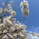 행정용 18번 | 어려웠던 국가직 9급 행정법으로 지방직은 어떻게 대처하나