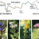 70년만에 열린 ‘금지된 땅’ 최북단… 금강산 능선이 눈물나게 선명했다 이미지