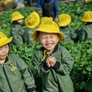 재훈농장 이미지