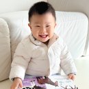 오감발달통합놀이 6-12개월 B | 블루래빗 우리아기 첫 토이북 베이직 세트 후기 | 신생아전집 아기전집 추천 오감자극 전집