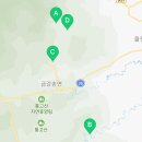 법인왕피천힐링팜