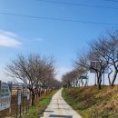 서두생강골 이미지