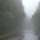 글라라목장 티스토리