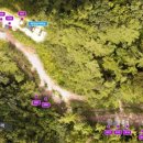 자일랜드 이미지