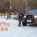 고목나무 이미지