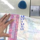 하와이안훌라 이미지