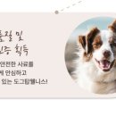 탑웰니스