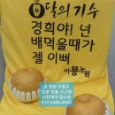 사임당로 58 이미지