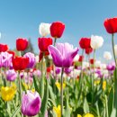 행복한하루 이미지