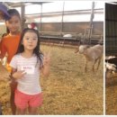 김단오농장 이미지