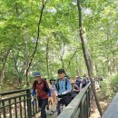 수락산계곡 이미지