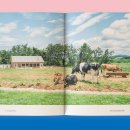 TOY BOX(토이박스) 이미지