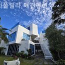 안덕면 대평 소기왓로 | [ 제주도 풀빌라 추천 ] 다와풀빌라 애견펜션 머무는 동안 완벽했던 곳