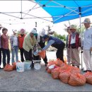 송재영농장 이미지