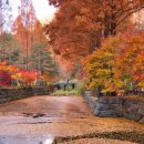 장태산자연휴양림 캠핑장 | 장태산 자연휴양림 캠핑장, 이 글 하나로 끝! (예약, 명당, 준비물 총정리)