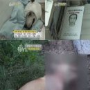 수배농장 이미지