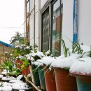 추억속에 하얀집 이미지