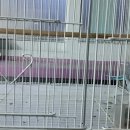 인천조류원 이미지