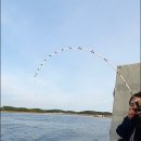 토도수산 이미지