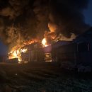 양계장닭한마리 이미지