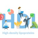 HDL 이미지