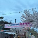정나눔터 | 김해진영산복도로 벚꽃축제 방문 후기 찬새내골 야간 데이트와 벚꽃주막까지!