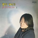 [케이팝] 폭풍의 언덕에 서면 내손을 잡아주오 - 방의경 이미지