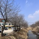 황금코다리곡성점 이미지