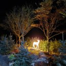 기찬자연휴양림 이미지