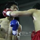 신도권투체육관 이미지