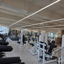 봉담헬스PT 피트니스M 봉담점 | 봉담헬스PT피트니스M 봉담헬스장