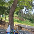 팔금농장 이미지