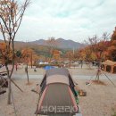 내장산국립공원화장실(제1주차장) 이미지